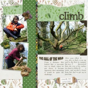 Tree Climbers