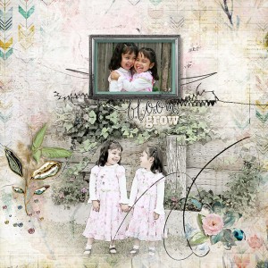 Bloom