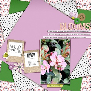 Blooms