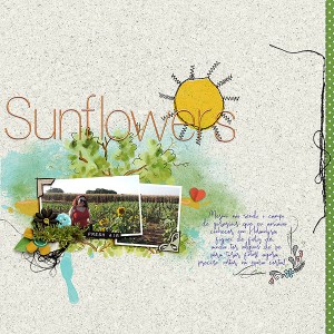 Sunflowers