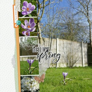 Welcome Spring