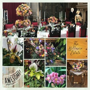 Biltmore Estate Blooms