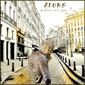 Alone