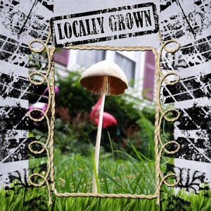Locally Grown Mushroom