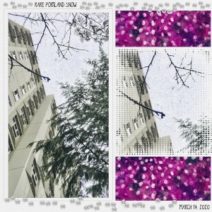 Falling Snow - Low Angle photo March 2020