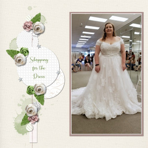 Shopping For The Dress