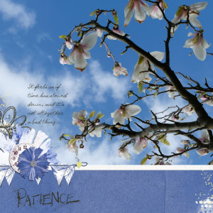 Patience