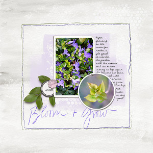 Bloom And Grow