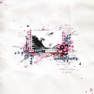 WILDFLOWER