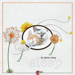 Sleep