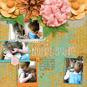 20120618 Brushing brushing