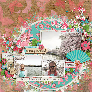 Cherry Blossoms