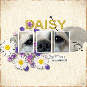 Scraplift_Daisy