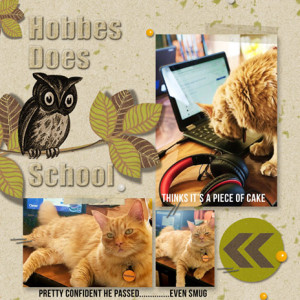 Sahlin Studio Challenge_04-20_Hobbes Does School