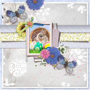 Lily-pad-april-2020-byoc