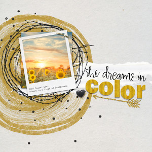 Dreams in Color