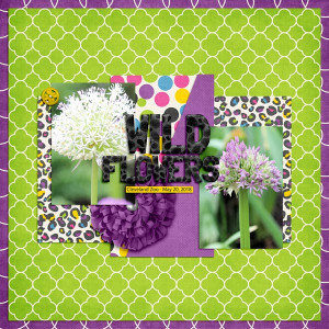 Wild Flowers