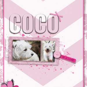 Make is Snappy_04-04-20_Coco_CuteAsAButton