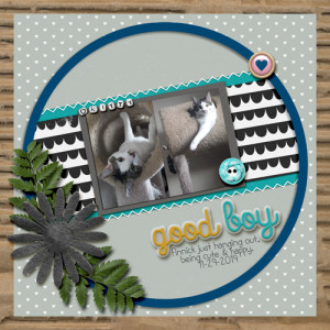 Good_Boy