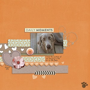 Daily Moments