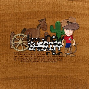 New Sheriff