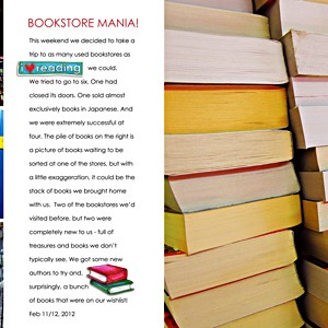 Bookstore Mania!