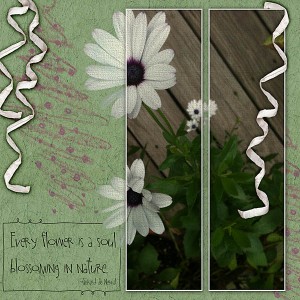 Daisy