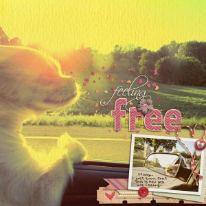 Feeling Free...