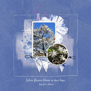 Where Flowers Bloom So Does Hope