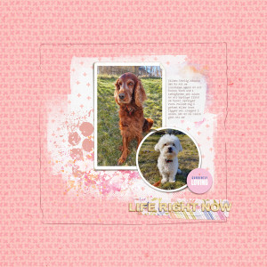 April-20 Template challenge