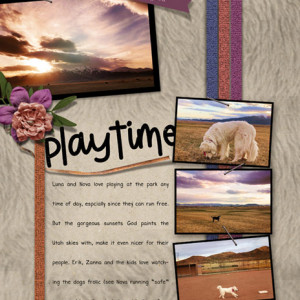 Sahin Designs_04-20_DogsPlaytimeSunset