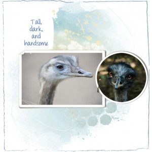 Tall,-dark,-and-handsome