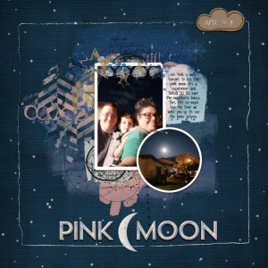 pink moon