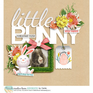 little bunny