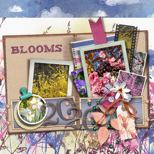 Spring Blooms 2020