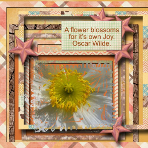 A Flower Blossoms