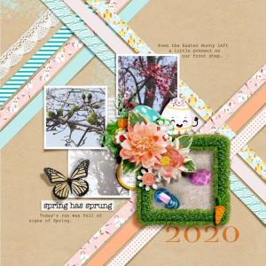 Spring Has Sprung 2020