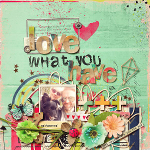 love what you have