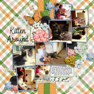 20120622 Kitten Around