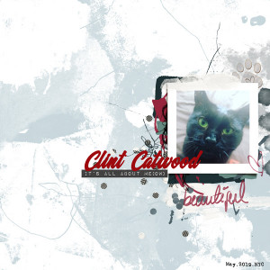 Clint Catwood