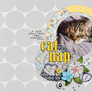 Cat Nap