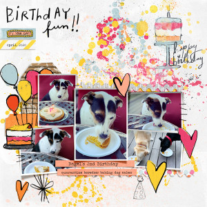 Bagel's Birthday