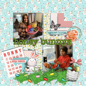 Honey Bunnys
