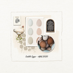 farm fresh eggs