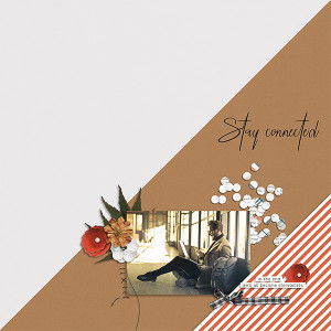 Stay Connected