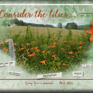 ATC-2020-066-Consider-the-Lilies