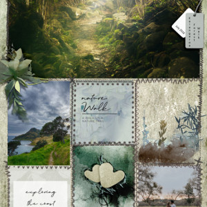 Nature Walk