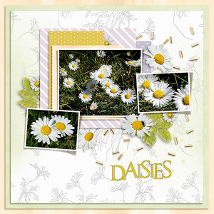 Daisies