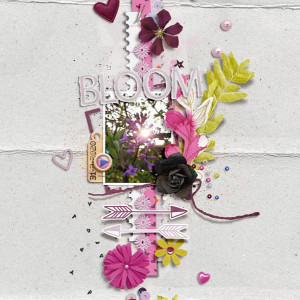 Bloom