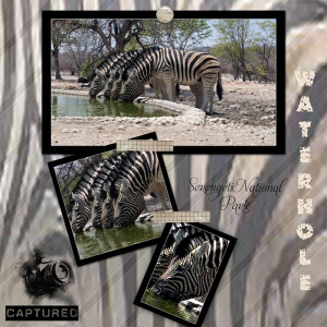 Style-Ch-zebra